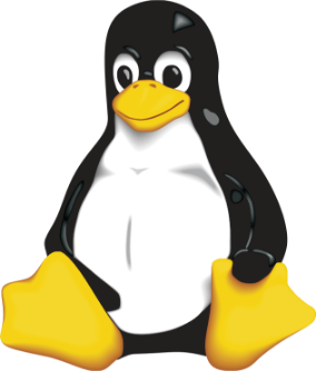 Linux CGN Miner